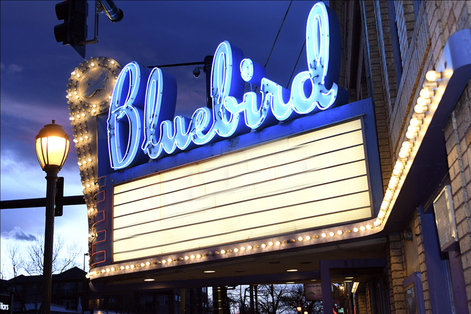 Bluebird Theater - Evan's entrepreneurial story